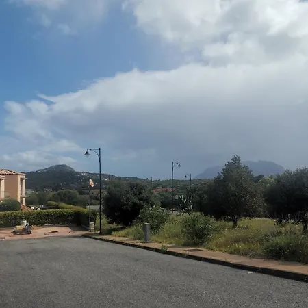 Domus Alegra Murta Maria